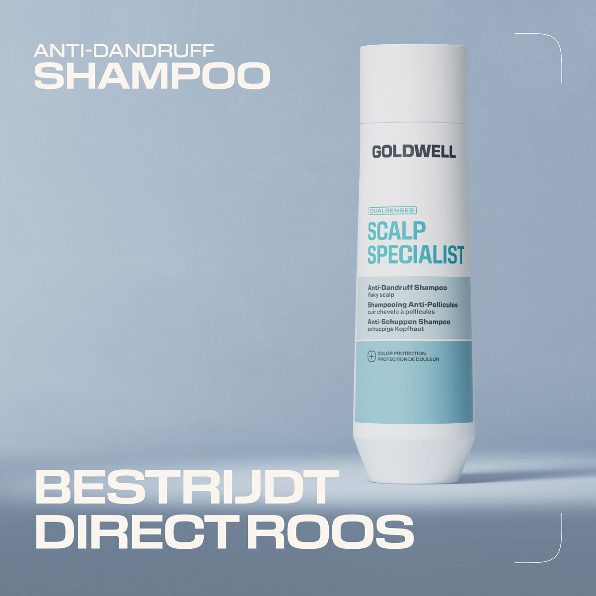 Goldwell Dualsenses Scalp Specialist Anti-Dandruff Shampoo 250ml