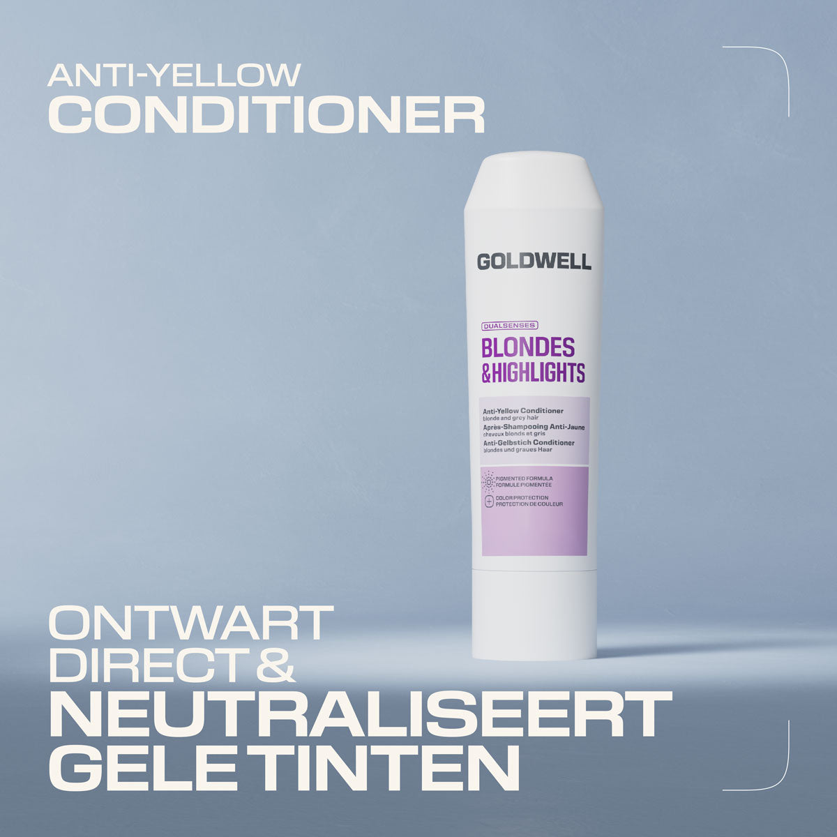 Goldwell Dualsenses Blondes & Highlights Anti-Yellow Conditioner