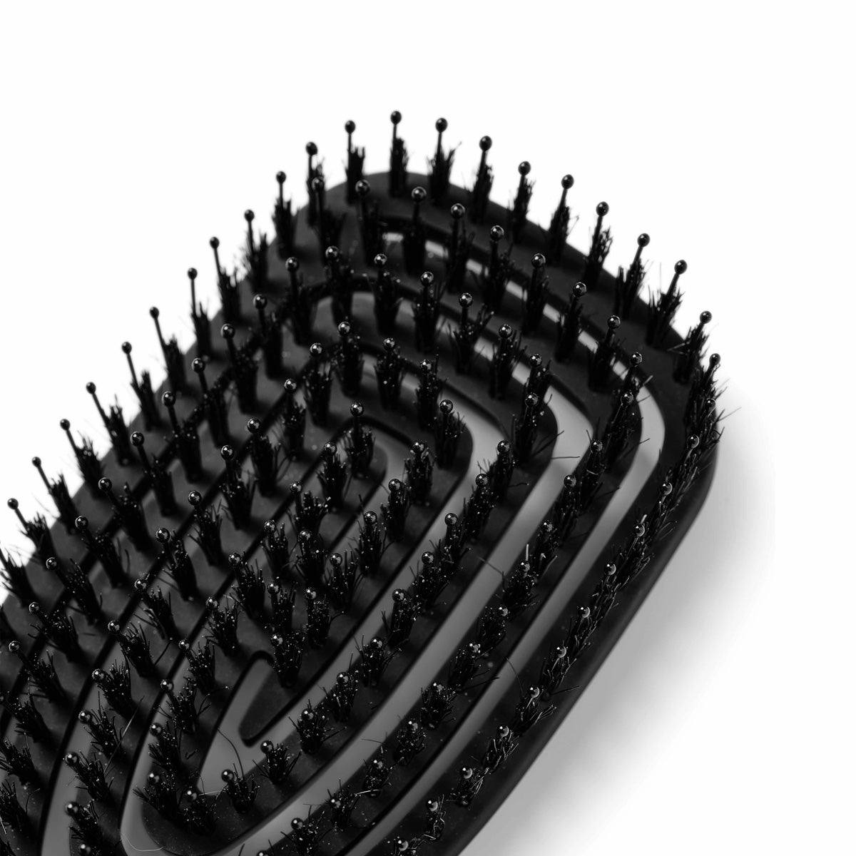 Ensemble Peniculus Flexibrush