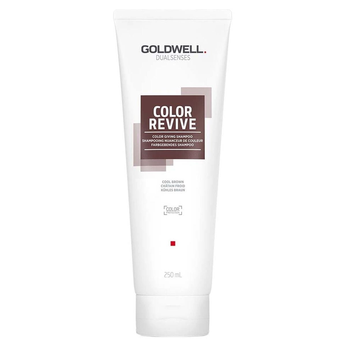 Goldwell DS Color Revive Shampoo 250ml