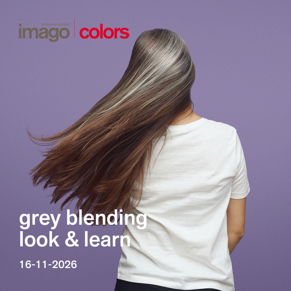 Imago Grey Melange Look & Learn 16-11-2026 - KOOS • alles voor je haar