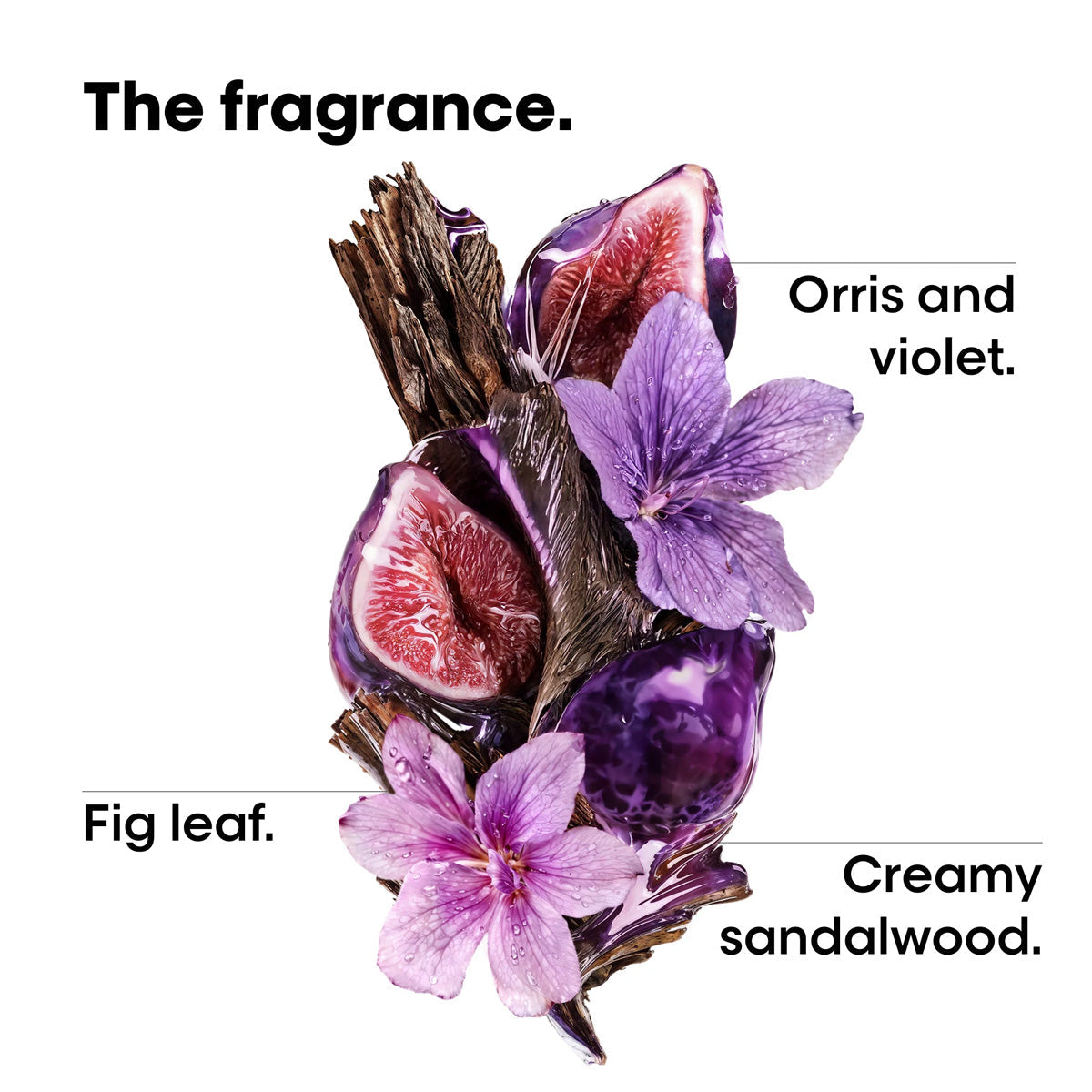 Loreal SE Sérum élégant à la kératine Alpha 50 ml