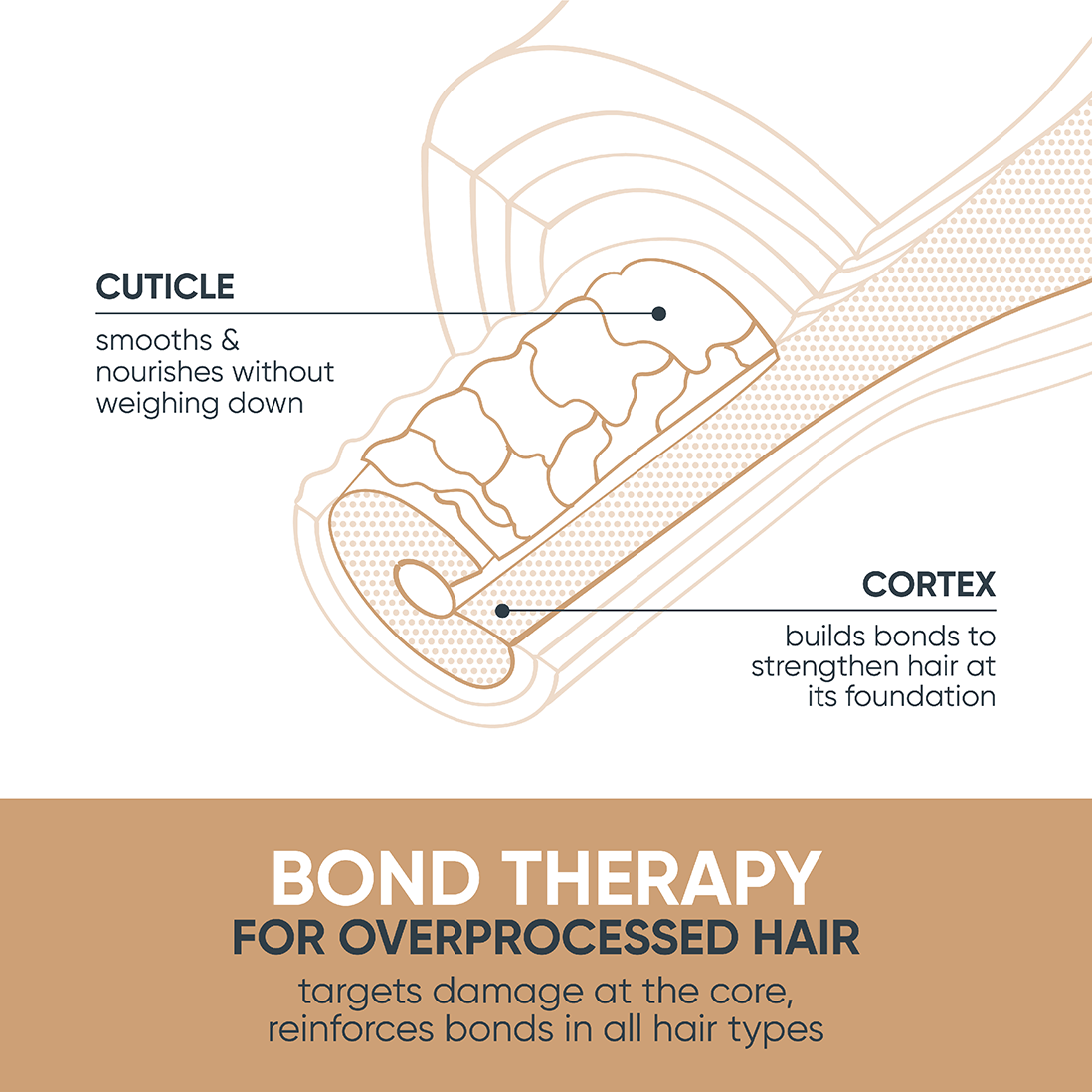 Matrix Biolage Bond Therapy Conditioner - Koosvanderbeek.nl - Matrix - Plex & Bond
