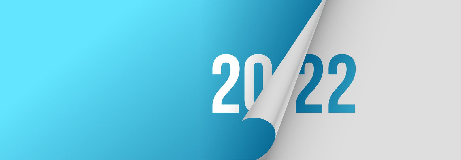 2022 in producten: jullie favoriete producten bij Koos van der Beek! - KOOS • alles voor je haar
