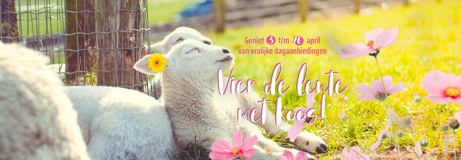 We vieren de lente bij Koos van der Beek! - KOOS • alles voor je haar