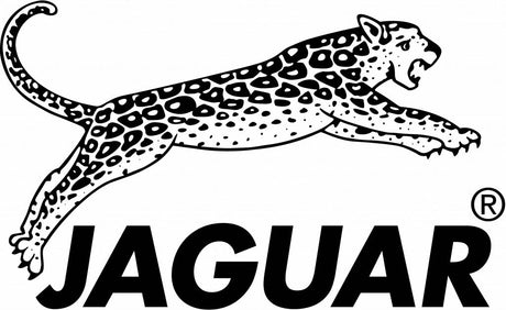 Jaguar - Koosvanderbeek.nl