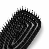 Ensemble Peniculus Flexibrush