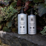Björk Parfymfri Après-shampooing 250 ml