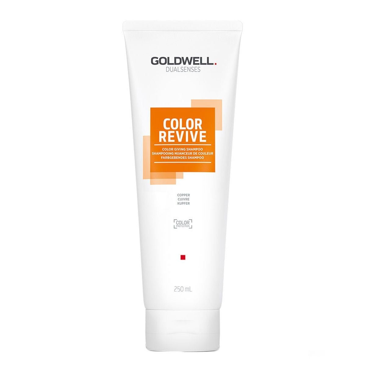 Goldwell DS Color Revive Shampoo 250 ml